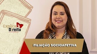 Explica Direito Filiação Socioafetiva  2019 [upl. by Dominus]