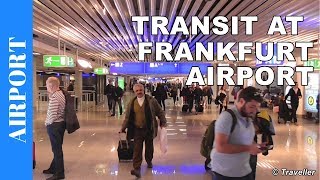 TRANSIT WALK AT FRANKFURT Airport FRA Terminal 1  Connection Flight Transfer Arriving amp Departing [upl. by Abijah]